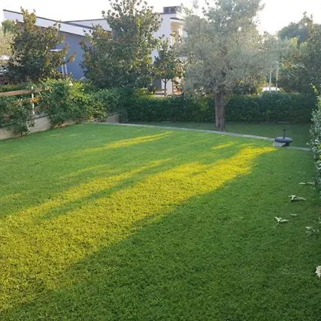 Great Farke فيلة